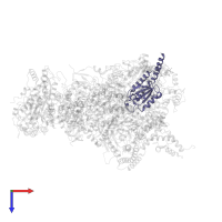 NADH dehydrogenase [ubiquinone] iron-sulfur protein 7, mitochondrial in PDB entry 7vz1, assembly 1, top view.