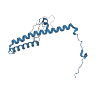 The deposited structure of PDB entry 7vz8 contains 1 copy of Pfam domain PF06374 (NADH-ubiquinone oxidoreductase subunit b14.5b (NDUFC2)) in NADH dehydrogenase [ubiquinone] 1 subunit C2. Showing 1 copy in chain O [auth g].