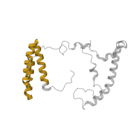 The deposited structure of PDB entry 7vz8 contains 1 copy of Pfam domain PF05347 (Complex 1 protein (LYR family)) in NADH dehydrogenase [ubiquinone] 1 beta subcomplex subunit 9. Showing 1 copy in chain X [auth p].
