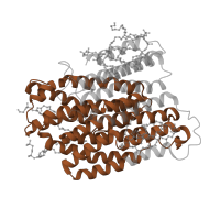 The deposited structure of PDB entry 7vz8 contains 1 copy of Pfam domain PF00361 (Proton-conducting membrane transporter) in NADH-ubiquinone oxidoreductase chain 4. Showing 1 copy in chain Y [auth r].