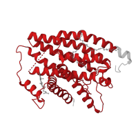 The deposited structure of PDB entry 7vz8 contains 1 copy of Pfam domain PF00146 (NADH dehydrogenase) in NADH-ubiquinone oxidoreductase chain 1. Showing 1 copy in chain Z [auth s].