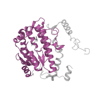The deposited structure of PDB entry 7vz8 contains 1 copy of Pfam domain PF01712 (Deoxynucleoside kinase) in NADH dehydrogenase [ubiquinone] 1 alpha subcomplex subunit 10, mitochondrial. Showing 1 copy in chain CA [auth w].