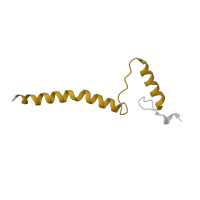 The deposited structure of PDB entry 7vz8 contains 1 copy of Pfam domain PF15879 (NADH-ubiquinone oxidoreductase MWFE subunit) in NADH dehydrogenase [ubiquinone] 1 alpha subcomplex subunit 1. Showing 1 copy in chain B [auth S].
