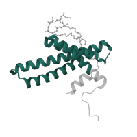 The deposited structure of PDB entry 7vz8 contains 1 copy of Pfam domain PF02466 (Tim17/Tim22/Tim23/Pmp24 family) in NADH dehydrogenase [ubiquinone] 1 alpha subcomplex subunit 11. Showing 1 copy in chain D [auth V].