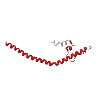 The deposited structure of PDB entry 7vz8 contains 1 copy of Pfam domain PF06212 (GRIM-19 protein) in NADH dehydrogenase [ubiquinone] 1 alpha subcomplex subunit 13. Showing 1 copy in chain E [auth W].