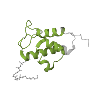 The deposited structure of PDB entry 7vz8 contains 1 copy of Pfam domain PF00550 (Phosphopantetheine attachment site) in Acyl carrier protein. Showing 1 copy in chain F [auth X].