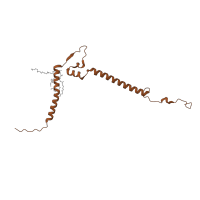 The deposited structure of PDB entry 7vz8 contains 1 copy of Pfam domain PF09781 (NADH:ubiquinone oxidoreductase, NDUFB5/SGDH subunit) in NADH dehydrogenase [ubiquinone] 1 beta subcomplex subunit 5, mitochondrial. Showing 1 copy in chain I [auth a].