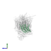 NADH-ubiquinone oxidoreductase chain 1 in PDB entry 7vz8, assembly 1, side view.