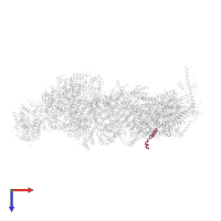 NADH dehydrogenase [ubiquinone] 1 beta subcomplex subunit 1 in PDB entry 7vzw, assembly 1, top view.