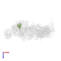 NADH dehydrogenase [ubiquinone] 1 alpha subcomplex subunit 2 in PDB entry 7vzw, assembly 1, top view.