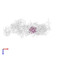NADH-ubiquinone oxidoreductase chain 2 in PDB entry 7w0h, assembly 1, top view.