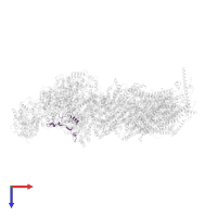 NADH dehydrogenase [ubiquinone] 1 alpha subcomplex subunit 7 in PDB entry 7w0h, assembly 1, top view.