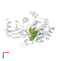 ERYTHROMYCIN A in PDB entry 7w15, assembly 1, top view.