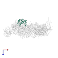 NAD-dependent epimerase/dehydratase domain-containing protein in PDB entry 7w2y, assembly 1, top view.