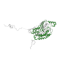 The deposited structure of PDB entry 7w32 contains 1 copy of Pfam domain PF00346 (Respiratory-chain NADH dehydrogenase, 49 Kd subunit) in NADH dehydrogenase [ubiquinone] iron-sulfur protein 2, mitochondrial. Showing 1 copy in chain P [auth Q].