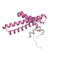 The deposited structure of PDB entry 7w32 contains 1 copy of Pfam domain PF02466 (Tim17/Tim22/Tim23/Pmp24 family) in NADH dehydrogenase [ubiquinone] 1 alpha subcomplex subunit 11. Showing 1 copy in chain T [auth V].