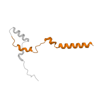 The deposited structure of PDB entry 7w32 contains 1 copy of Pfam domain PF08122 (NADH-ubiquinone oxidoreductase B12 subunit family) in Complex I-B12. Showing 1 copy in chain X [auth Z].