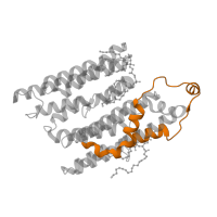 The deposited structure of PDB entry 7w32 contains 1 copy of Pfam domain PF06444 (NADH dehydrogenase subunit 2 C-terminus) in NADH-ubiquinone oxidoreductase chain 2. Showing 1 copy in chain GA [auth i].