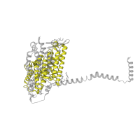 The deposited structure of PDB entry 7w32 contains 1 copy of Pfam domain PF00361 (Proton-conducting membrane transporter) in NADH-ubiquinone oxidoreductase chain 5. Showing 1 copy in chain JA [auth l].