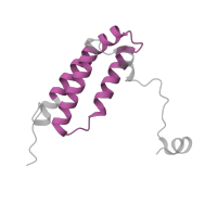 The deposited structure of PDB entry 7w32 contains 1 copy of Pfam domain PF05347 (Complex 1 protein (LYR family)) in NADH dehydrogenase [ubiquinone] 1 alpha subcomplex subunit 6. Showing 1 copy in chain D [auth E].