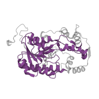 The deposited structure of PDB entry 7w32 contains 1 copy of Pfam domain PF01370 (NAD dependent epimerase/dehydratase family) in NAD-dependent epimerase/dehydratase domain-containing protein. Showing 1 copy in chain I [auth J].