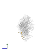 NADH dehydrogenase [ubiquinone] 1 alpha subcomplex subunit 3 in PDB entry 7w32, assembly 1, side view.