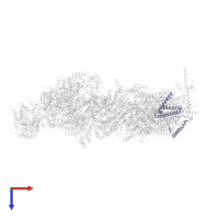 NADH dehydrogenase [ubiquinone] 1 beta subcomplex subunit 10 in PDB entry 7w32, assembly 1, top view.