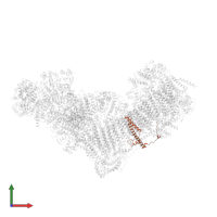 NADH dehydrogenase [ubiquinone] 1 subunit C2 in PDB entry 7w32, assembly 1, front view.