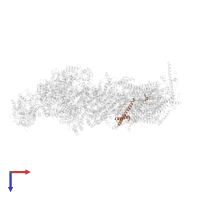 NADH dehydrogenase [ubiquinone] 1 subunit C2 in PDB entry 7w32, assembly 1, top view.