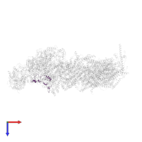 NADH dehydrogenase [ubiquinone] 1 alpha subcomplex subunit 7 in PDB entry 7w32, assembly 1, top view.