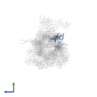 Proteasome subunit alpha type-7 in PDB entry 7w39, assembly 1, side view.