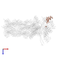 26S proteasome non-ATPase regulatory subunit 8 in PDB entry 7w39, assembly 1, top view.