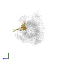 26S proteasome regulatory subunit 6A in PDB entry 7w3h, assembly 1, side view.