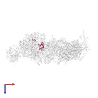 NADH dehydrogenase [ubiquinone] 1 alpha subcomplex subunit 6 in PDB entry 7w4c, assembly 1, top view.