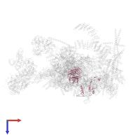 Pre-mRNA-processing factor 17 in PDB entry 7w5b, assembly 1, top view.