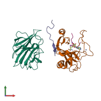 PDB entry 7w6j coloured by chain, front view.