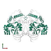 Cobalt-containing nitrile hydratase subunit alpha in PDB entry 7w8m, assembly 1, front view.