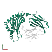 Ig-like domain-containing protein in PDB entry 7wbg, assembly 1, front view.