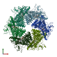 PDB entry 7wd3 coloured by chain, front view.