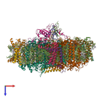 Hetero 16-meric assembly 1 of PDB entry 7wfd coloured by chemically distinct molecules, top view.