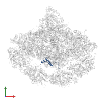 Photosystem I reaction center subunit IX in PDB entry 7wfd, assembly 1, front view.