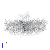 Photosystem I reaction center subunit IX in PDB entry 7wfd, assembly 1, top view.
