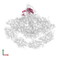 Photosystem I reaction center subunit XI, chloroplastic in PDB entry 7wfd, assembly 1, front view.