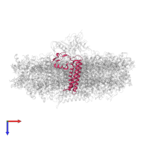 Photosystem I reaction center subunit XI, chloroplastic in PDB entry 7wfd, assembly 1, top view.