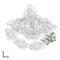 Chlorophyll a-b binding protein 6, chloroplastic in PDB entry 7wfd, assembly 1, front view.