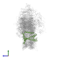 Chlorophyll a-b binding protein 6, chloroplastic in PDB entry 7wfd, assembly 1, side view.