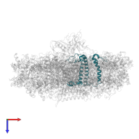 Chlorophyll a-b binding protein 4, chloroplastic in PDB entry 7wfd, assembly 1, top view.