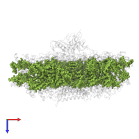 CHLOROPHYLL A in PDB entry 7wfd, assembly 1, top view.