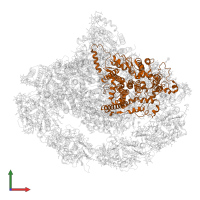 Photosystem I P700 chlorophyll a apoprotein A2 in PDB entry 7wfd, assembly 1, front view.