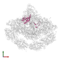 Photosystem I reaction center subunit II-2, chloroplastic in PDB entry 7wfd, assembly 1, front view.